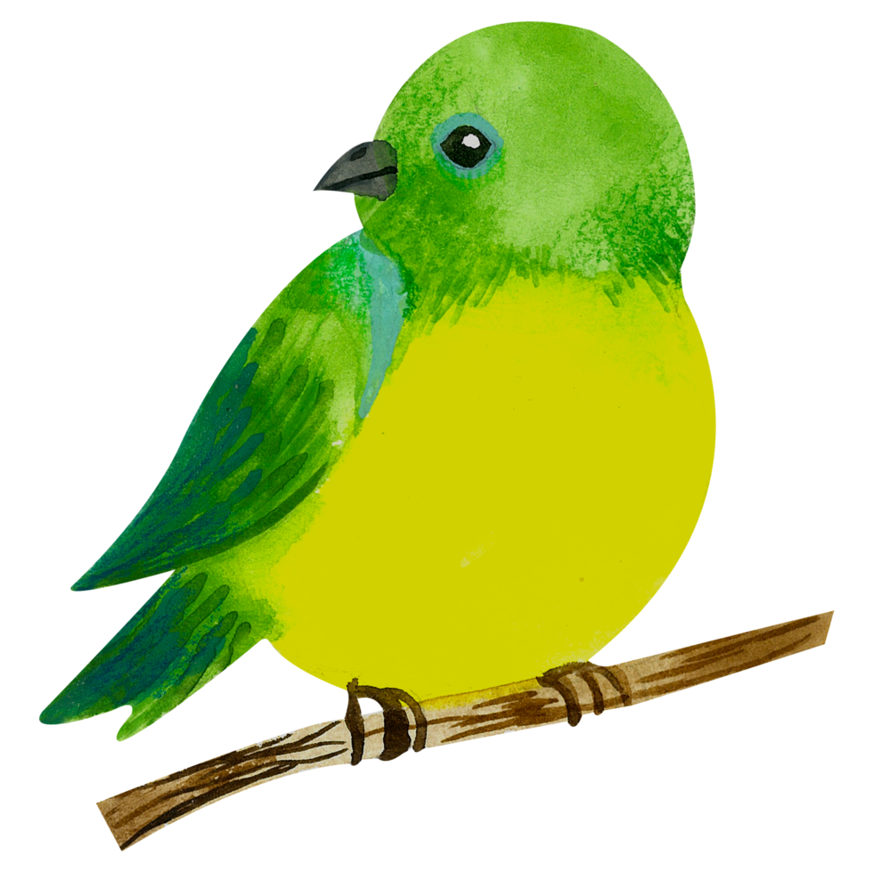 Little Bird watercolor hand paint png