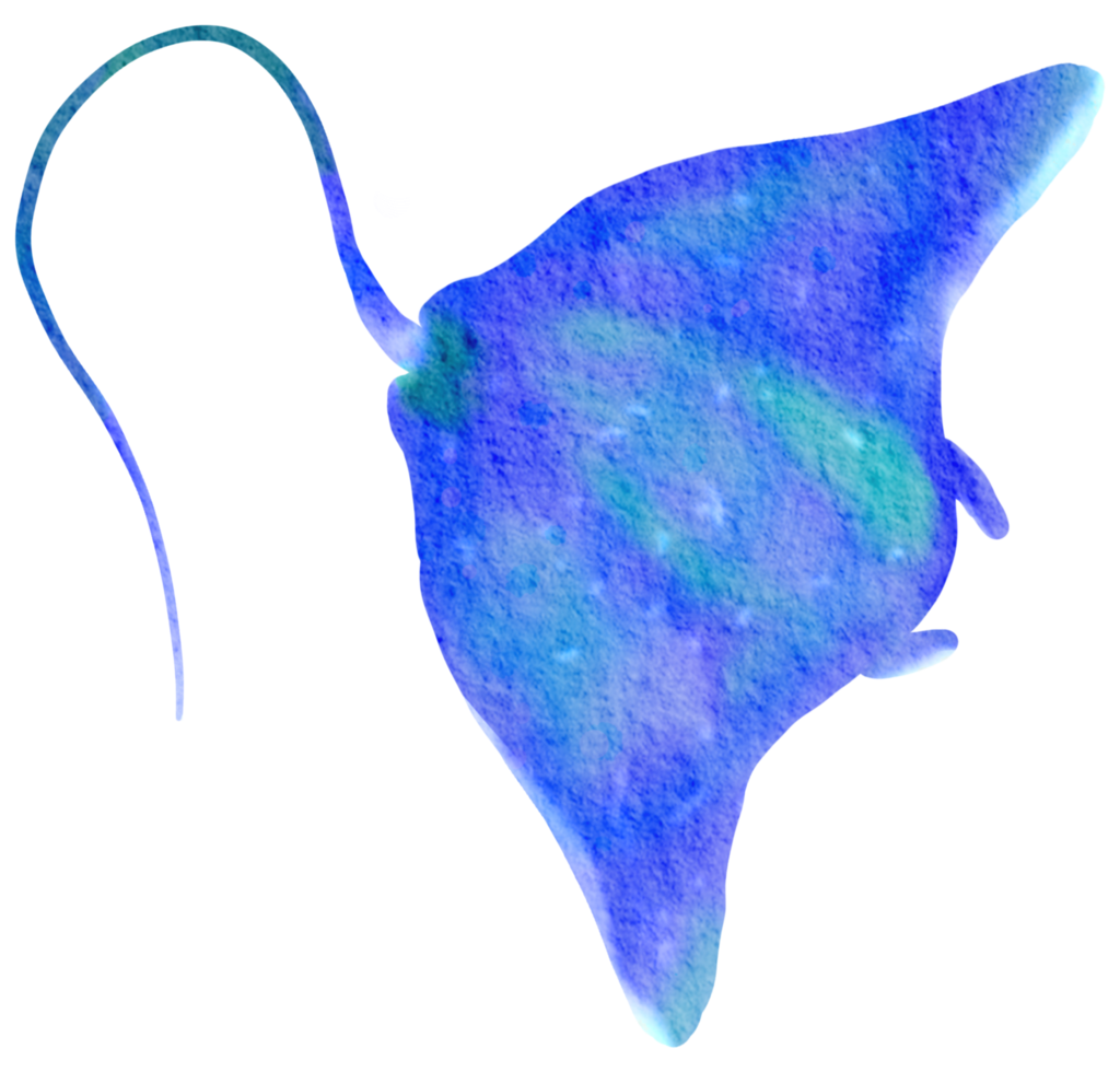 bajo la acuarela de animales marinos png