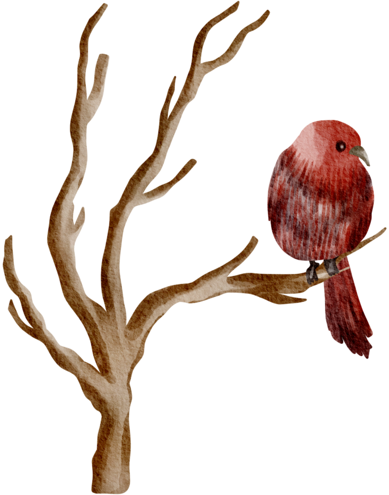 Vogelhaus Aquarell handgemalt png