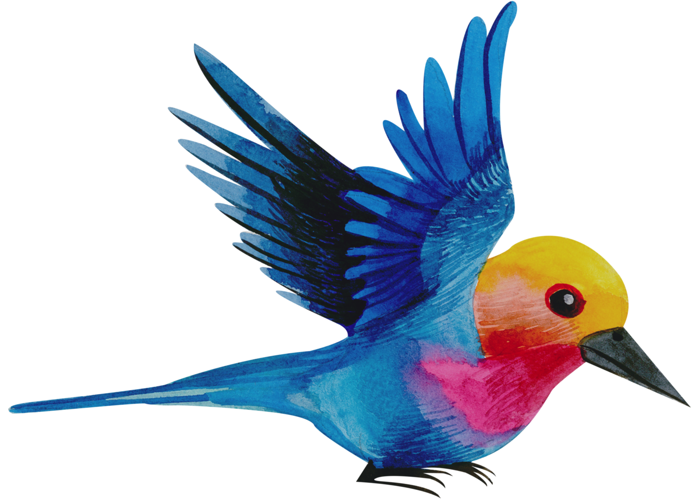 Little Bird watercolor hand paint png