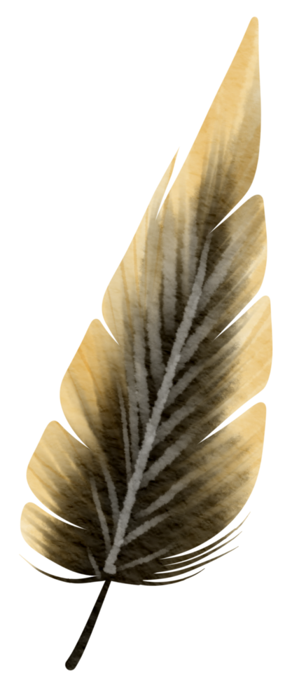 Feather watercolor hand paint png