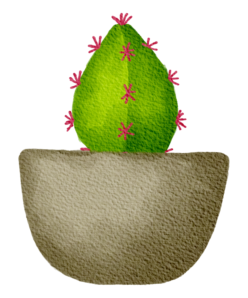 cactus succulento pianta acquerello png