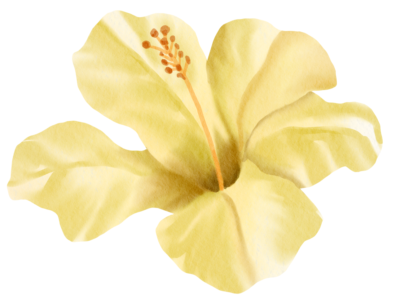 Watercolor Floral Botanical hand paint png
