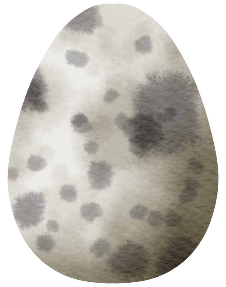 Egg watercolor hand paint png