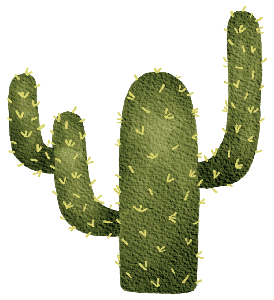 Cactus E Suculentas, Cactus, Suculenta Planta png transparente grátis