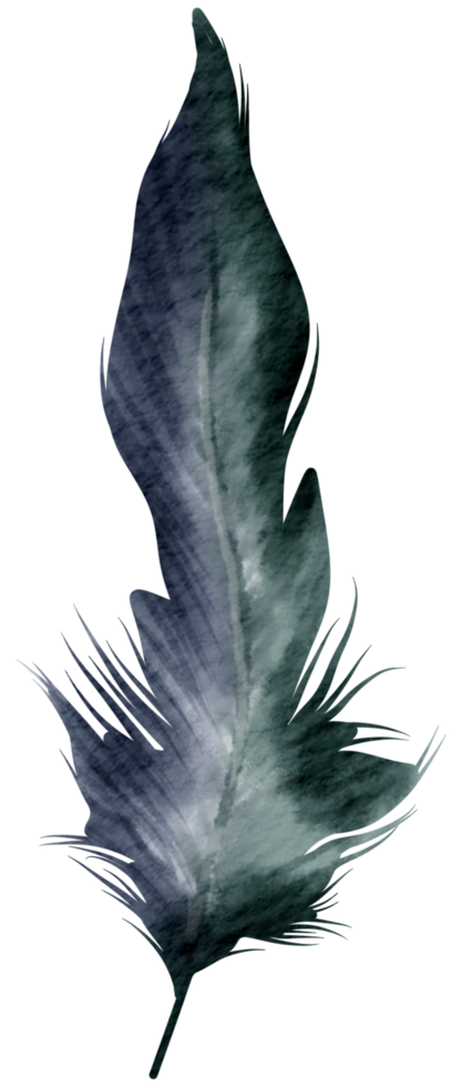 Feather watercolor hand paint png