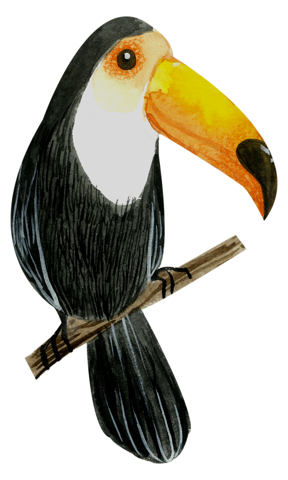 pintura de mano de acuarela de pajarito png