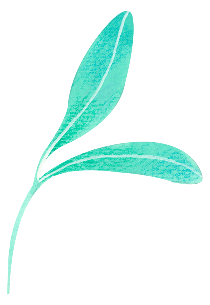 foliage watercolor leaf hand paint png