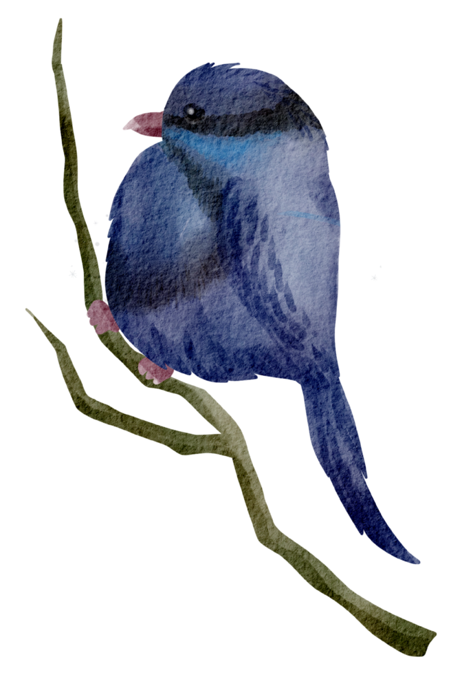 Vogelhaus Aquarell handgemalt png