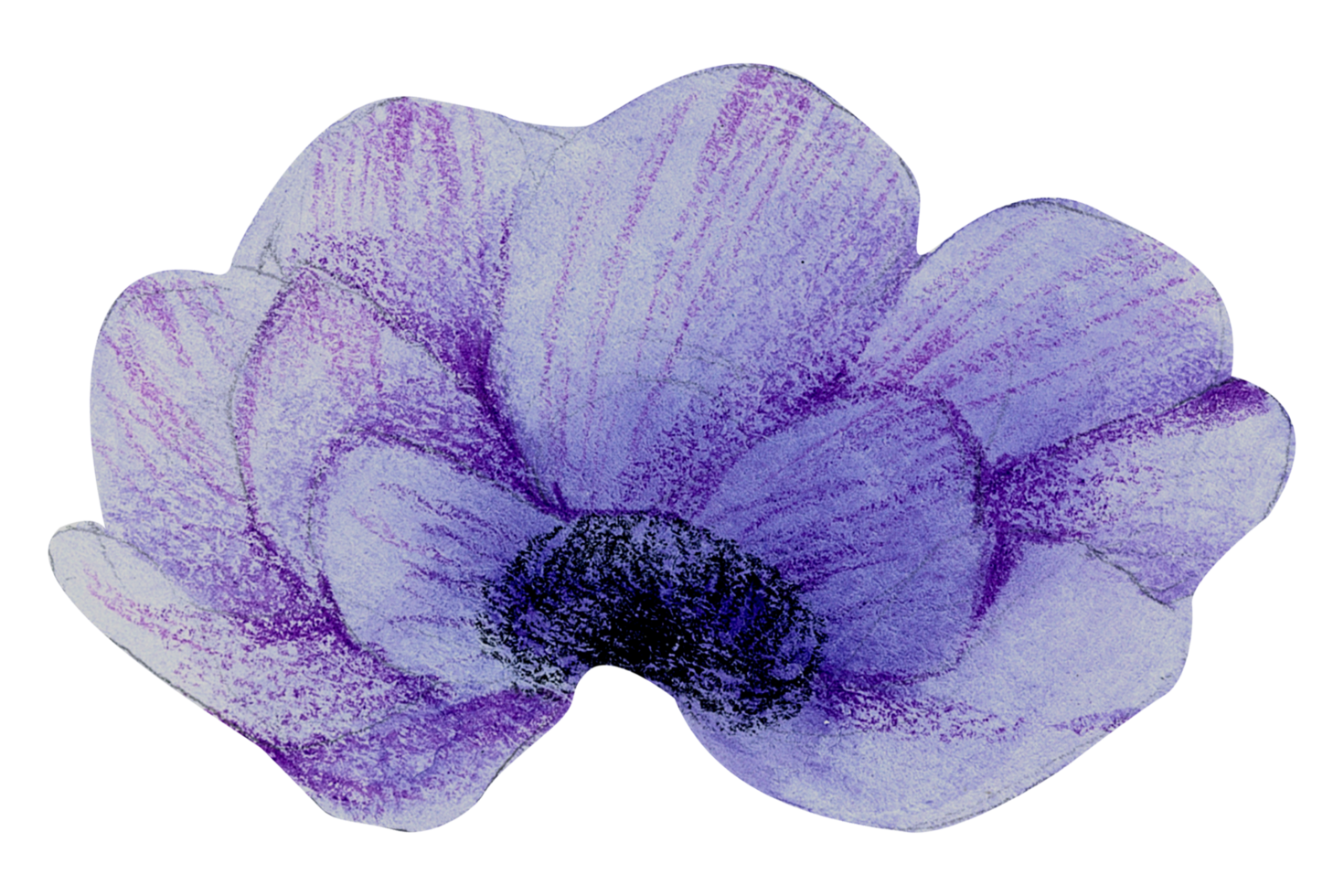 Watercolor Floral Botanical hand paint png