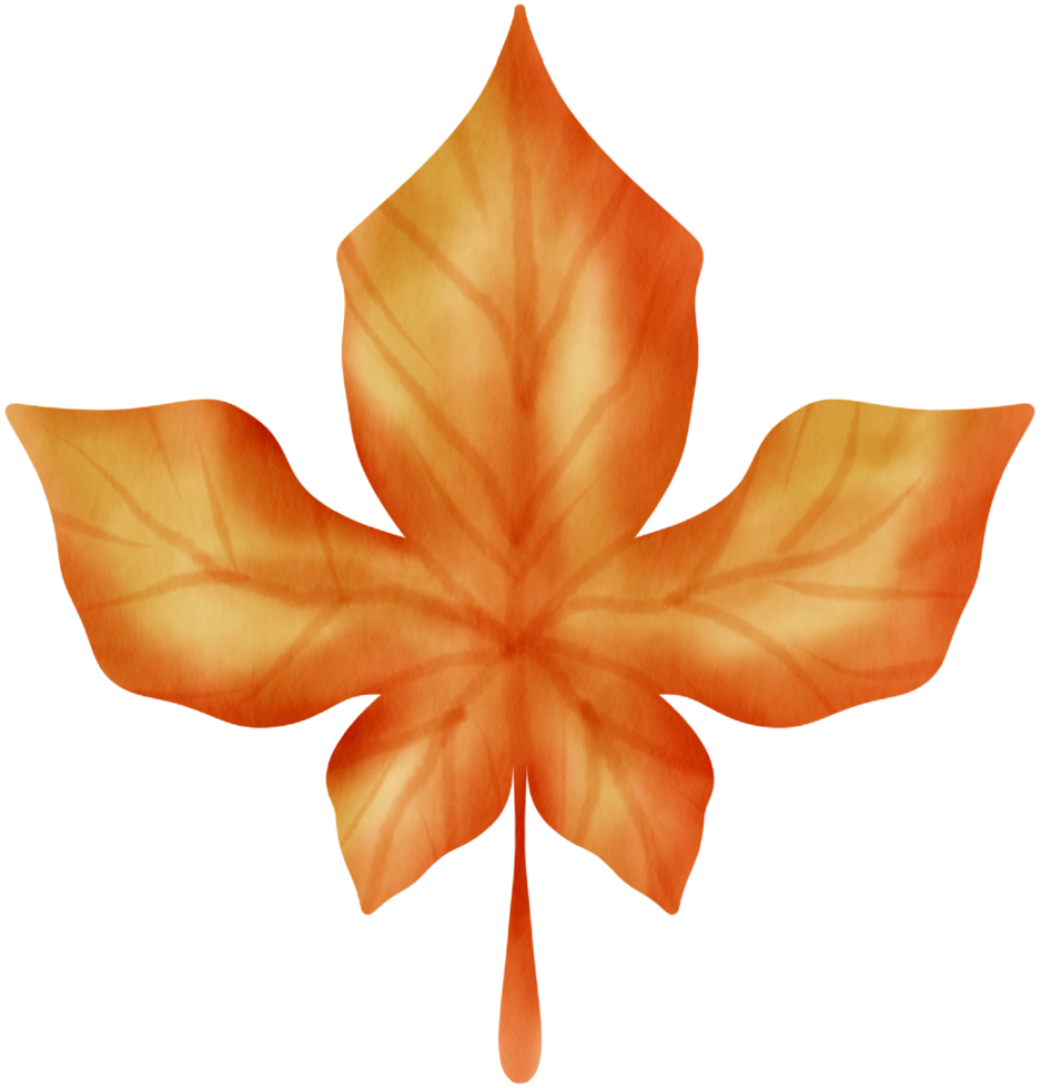 herfst element waterverf ornament png