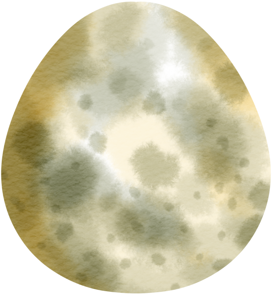 Egg watercolor hand paint png