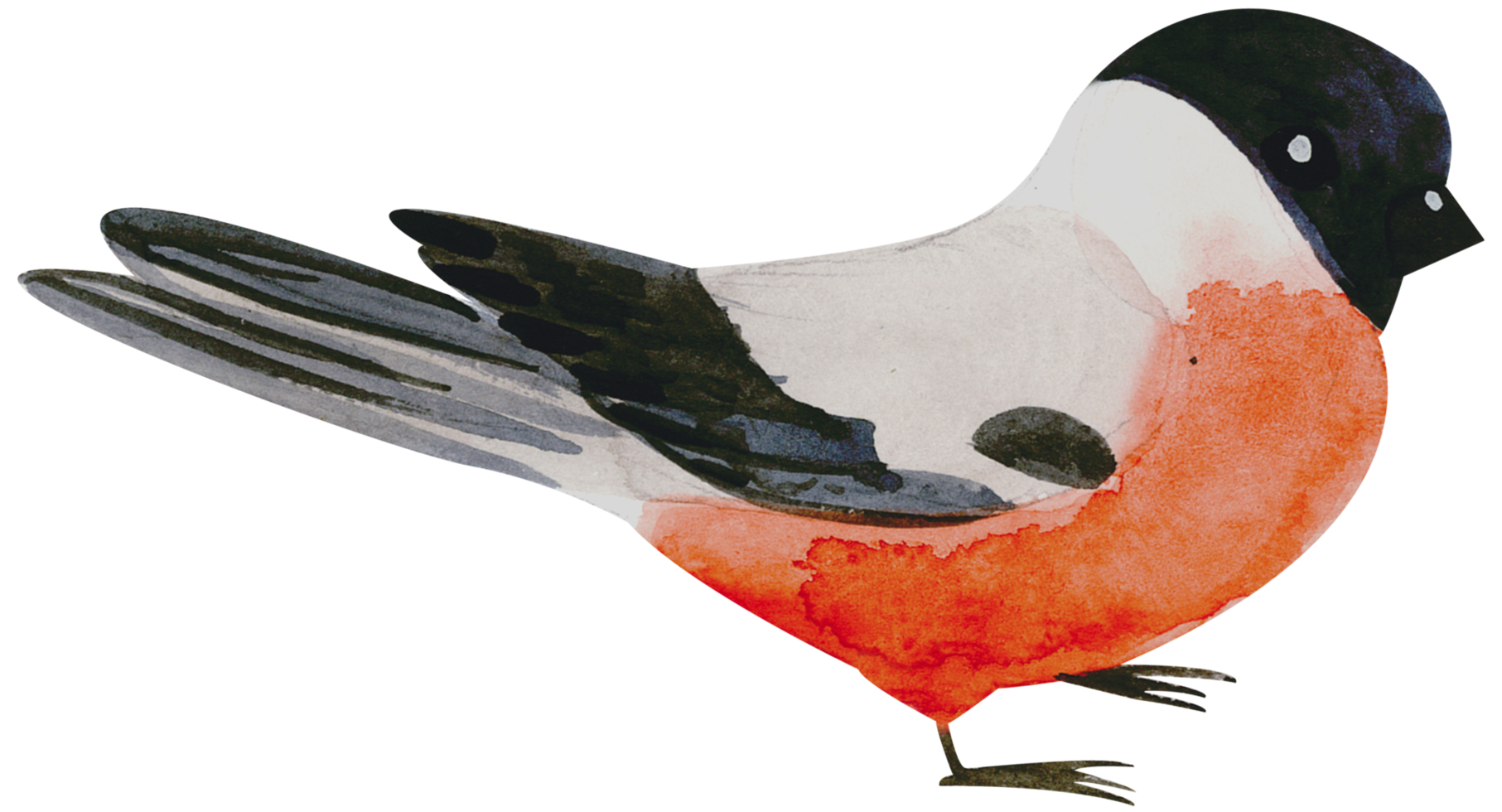 weinig vogel waterverf hand- verf png