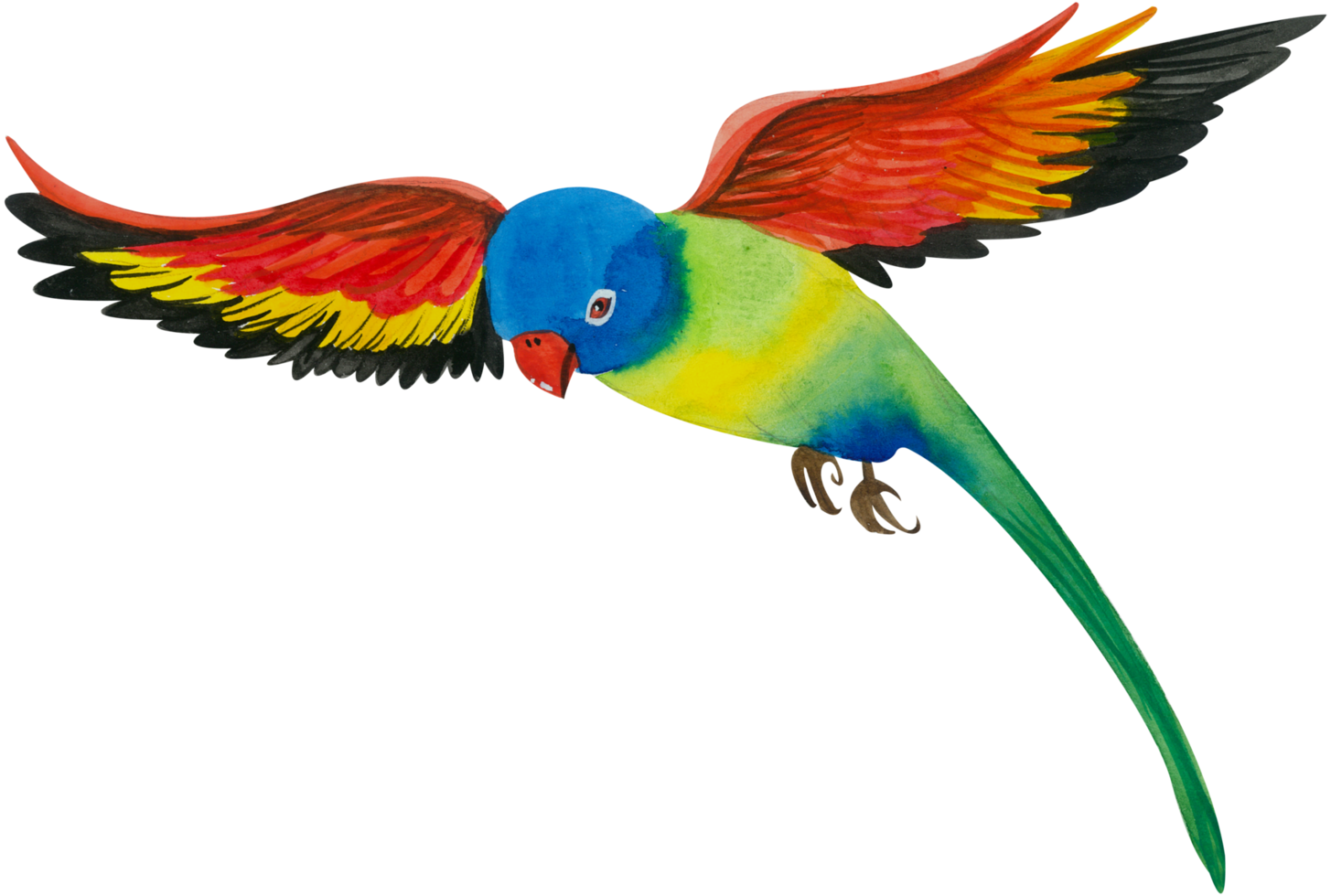 peinture à la main aquarelle petit oiseau png