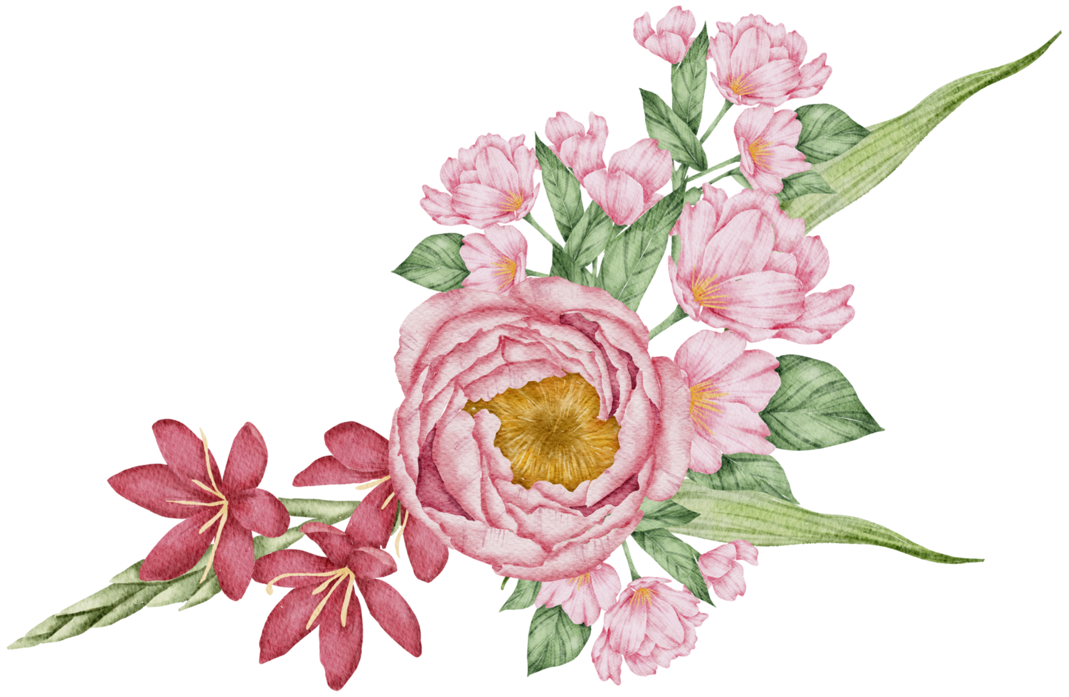 acuarela rosa floral botánico png