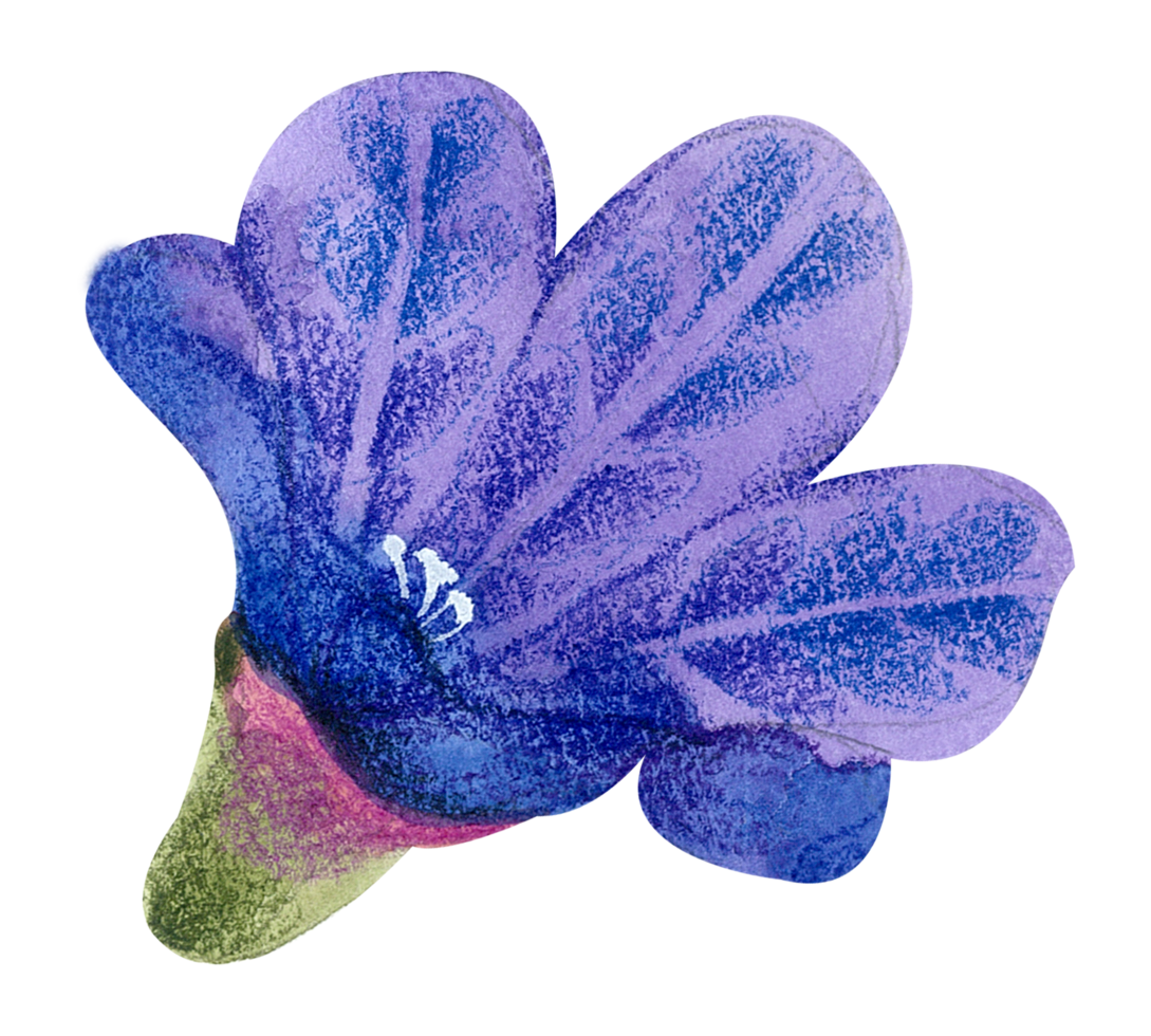 Aquarell Blumen botanische Handfarbe png