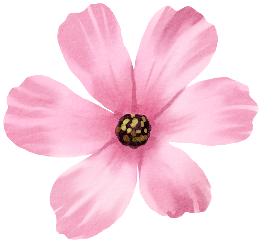 waterverf bloemen botanisch hand- verf png