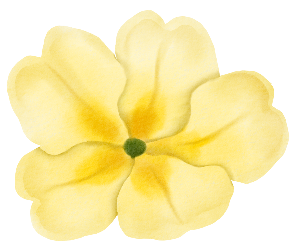 vattenfärg blommig botanisk hand måla png