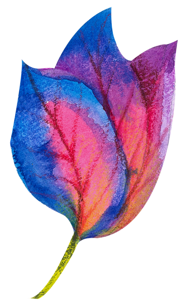 Watercolor Floral Botanical hand paint png