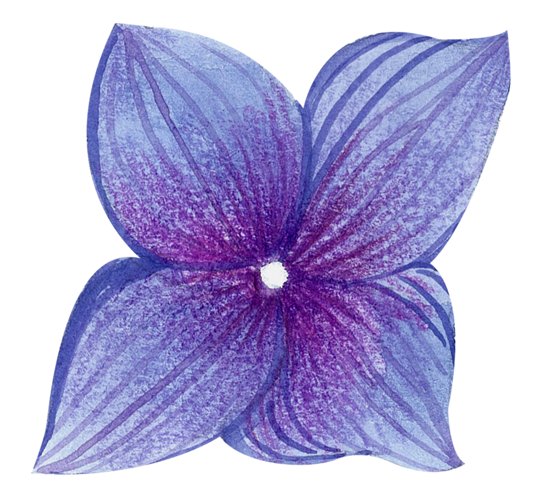 Watercolor Floral Botanical hand paint png