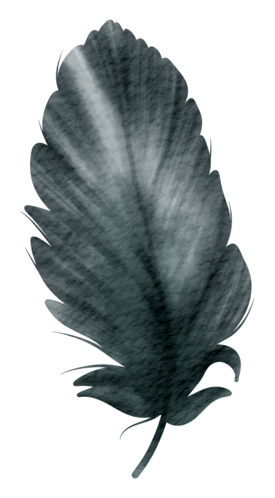 Feather watercolor hand paint png