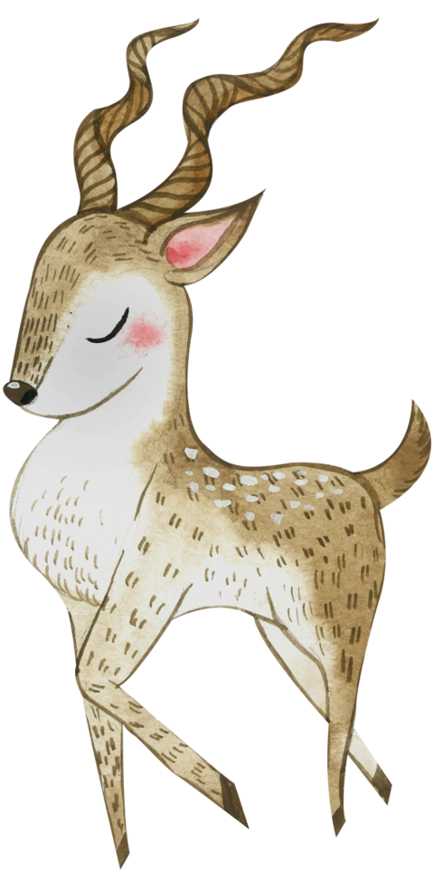 Cute animal character watercolor png