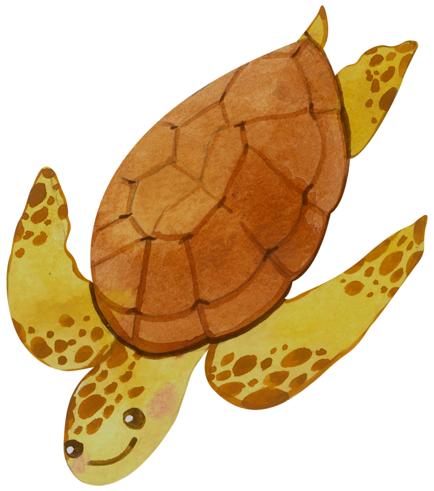 schattig schildpad dier karakter waterverf png