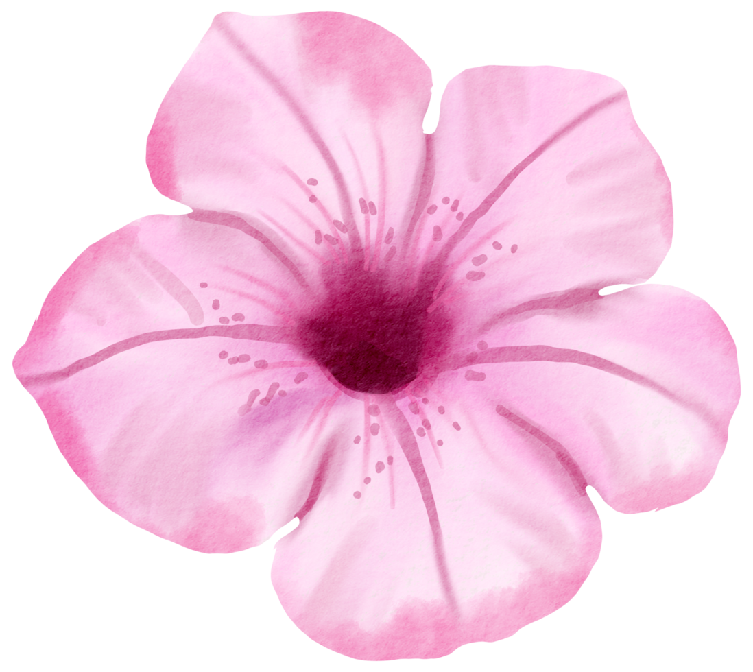 waterverf bloemen botanisch hand- verf png