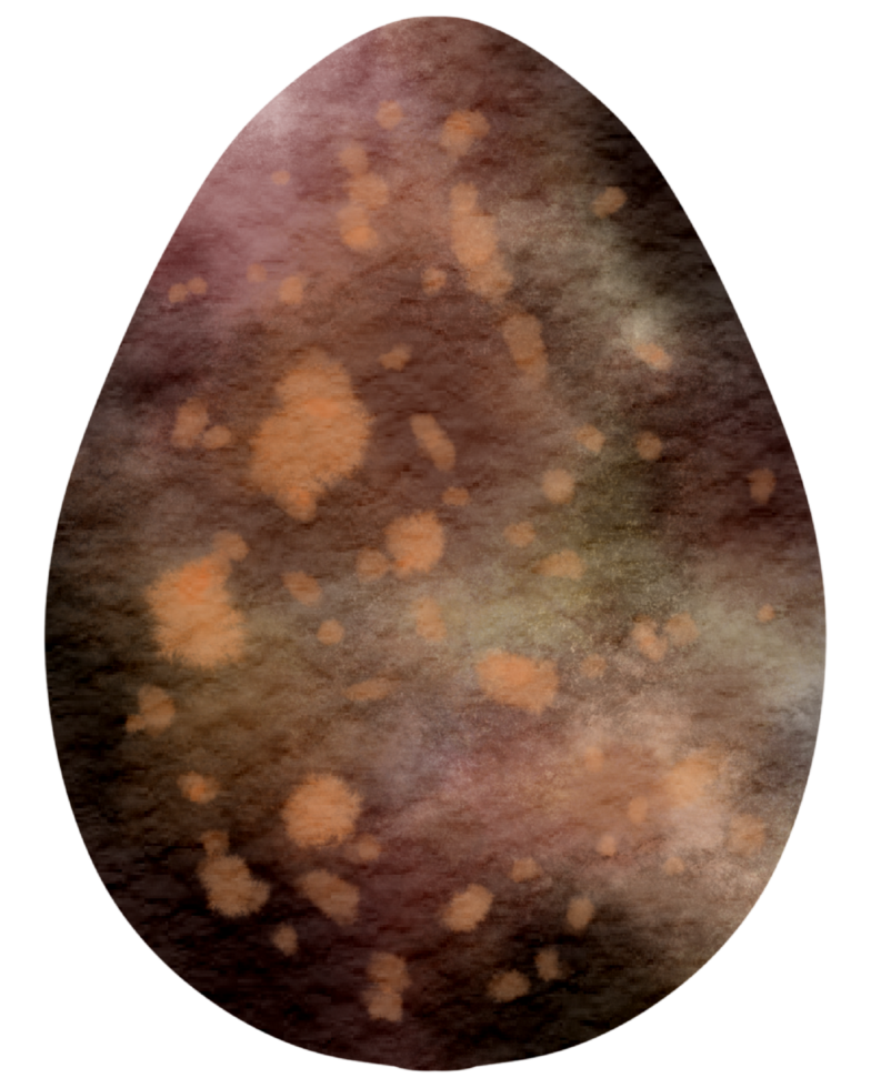 Egg watercolor hand paint png