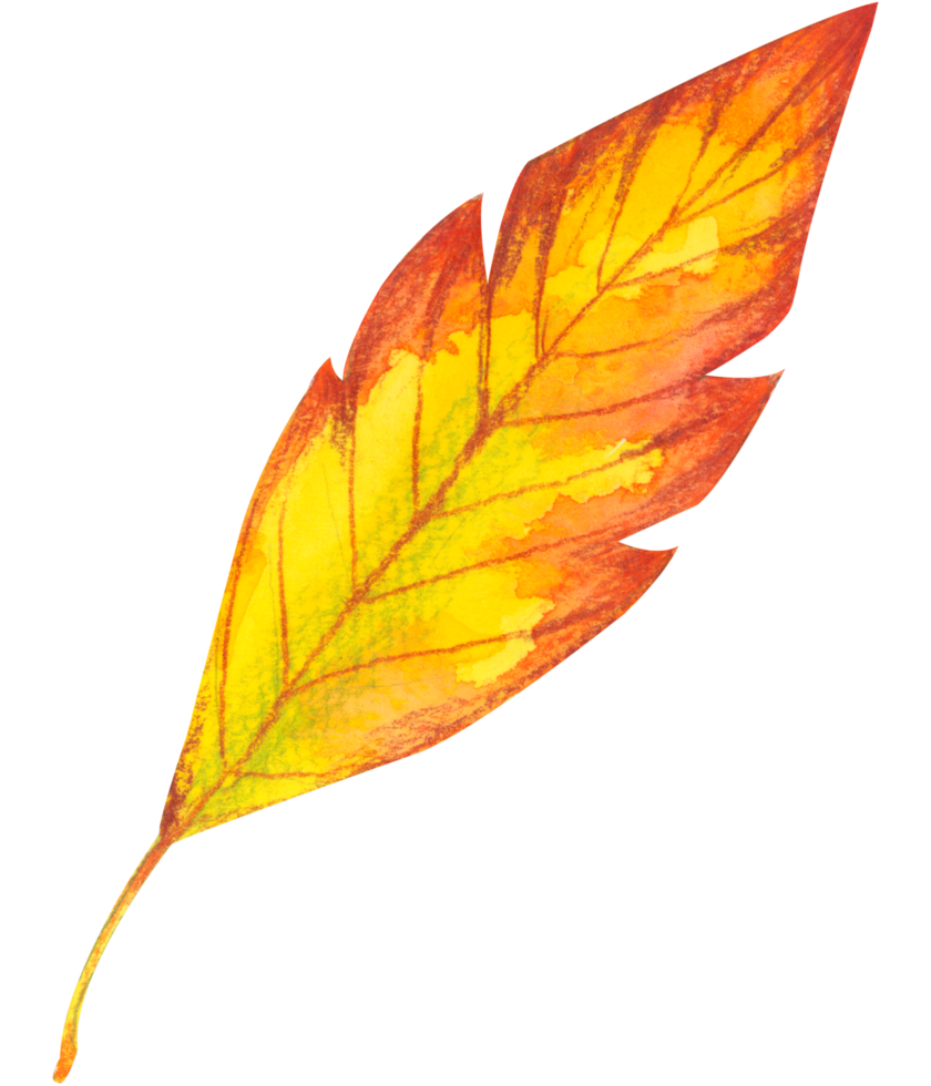 foliage watercolor leaf hand paint png