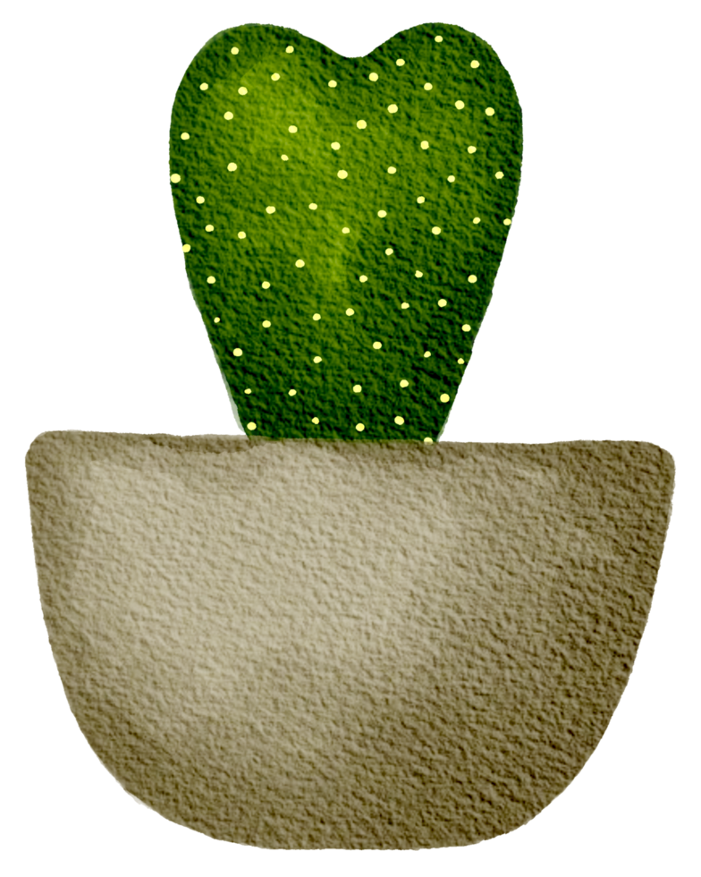 Cactus succulent plant watercolor png