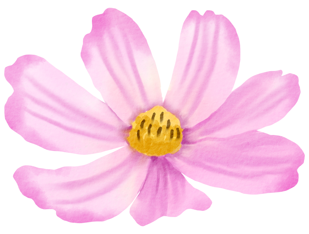 waterverf bloemen botanisch hand- verf png