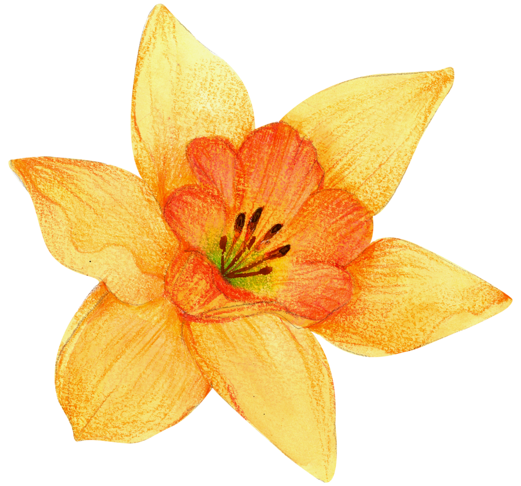 waterverf bloemen botanisch hand- verf png