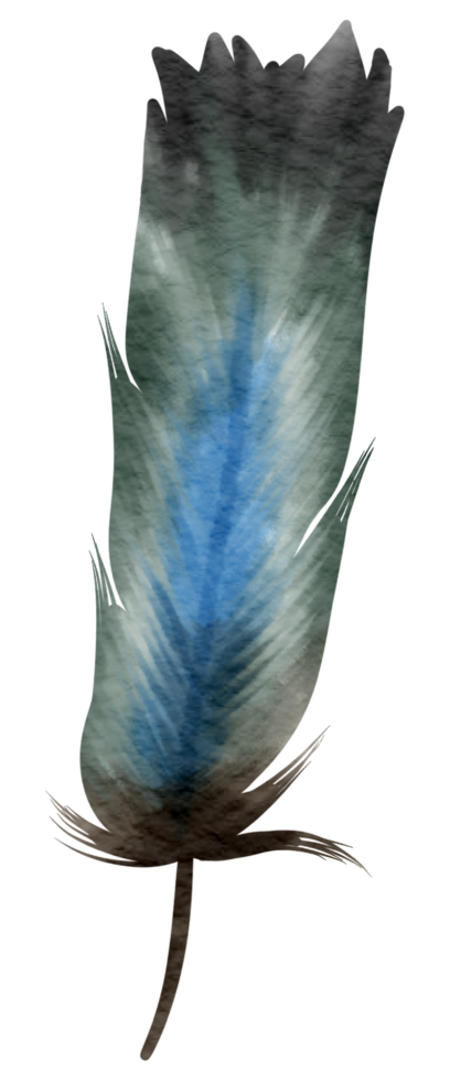 Feather watercolor hand paint png