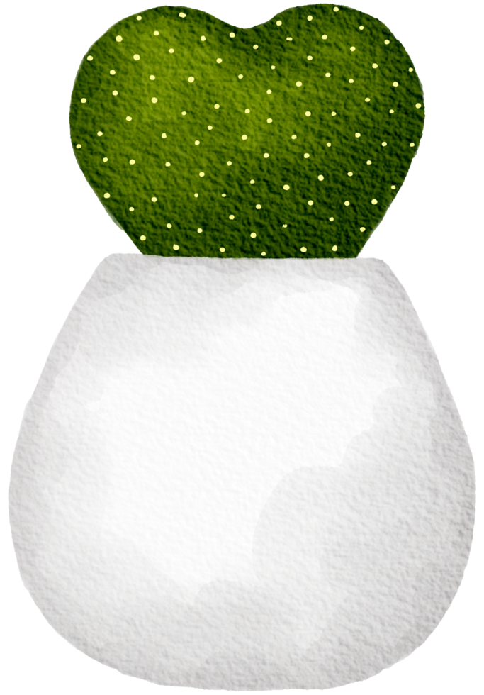 Cactus succulent plant watercolor png