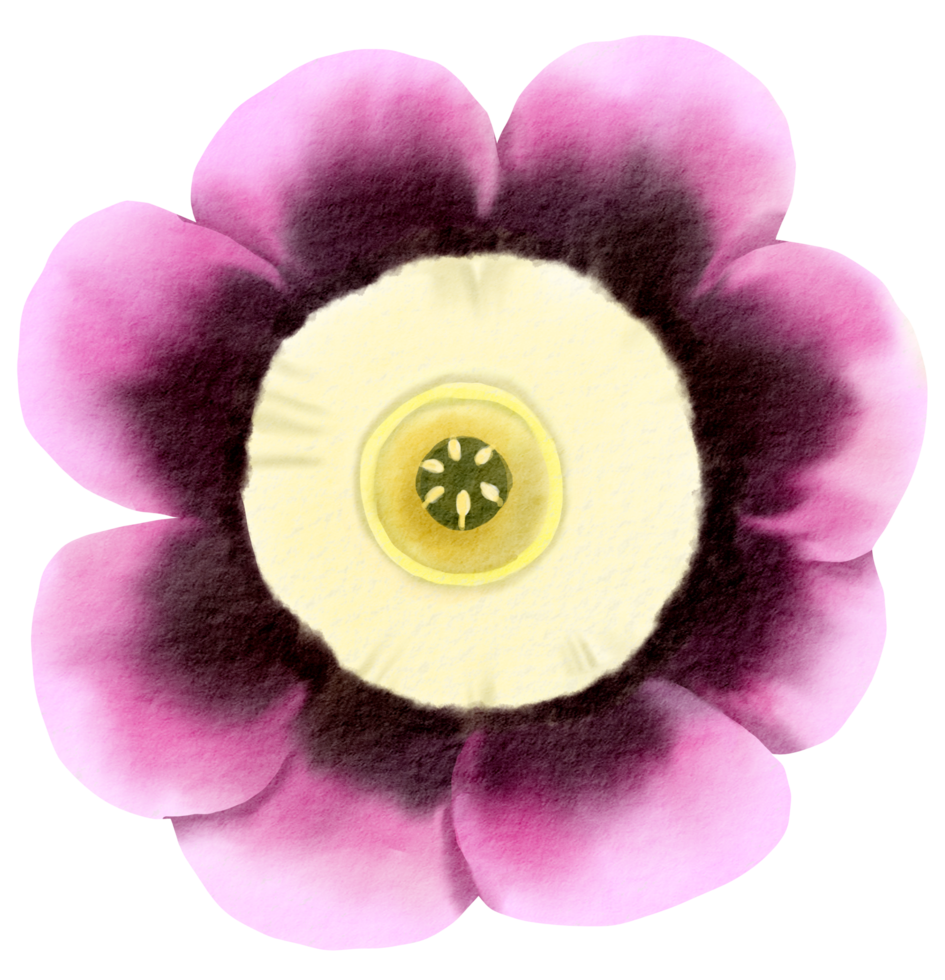 vattenfärg blommig botanisk hand måla png