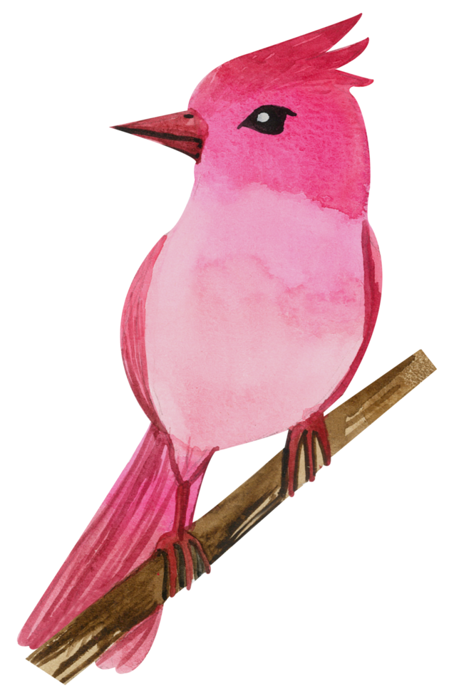 Little Bird watercolor hand paint png