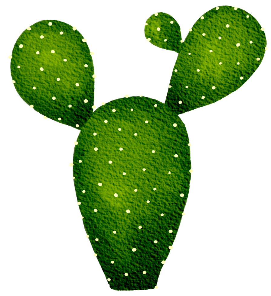 cactus suculento planta acuarela png
