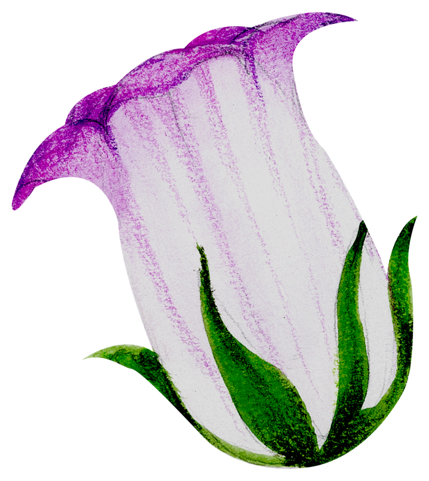 waterverf bloemen botanisch hand- verf png