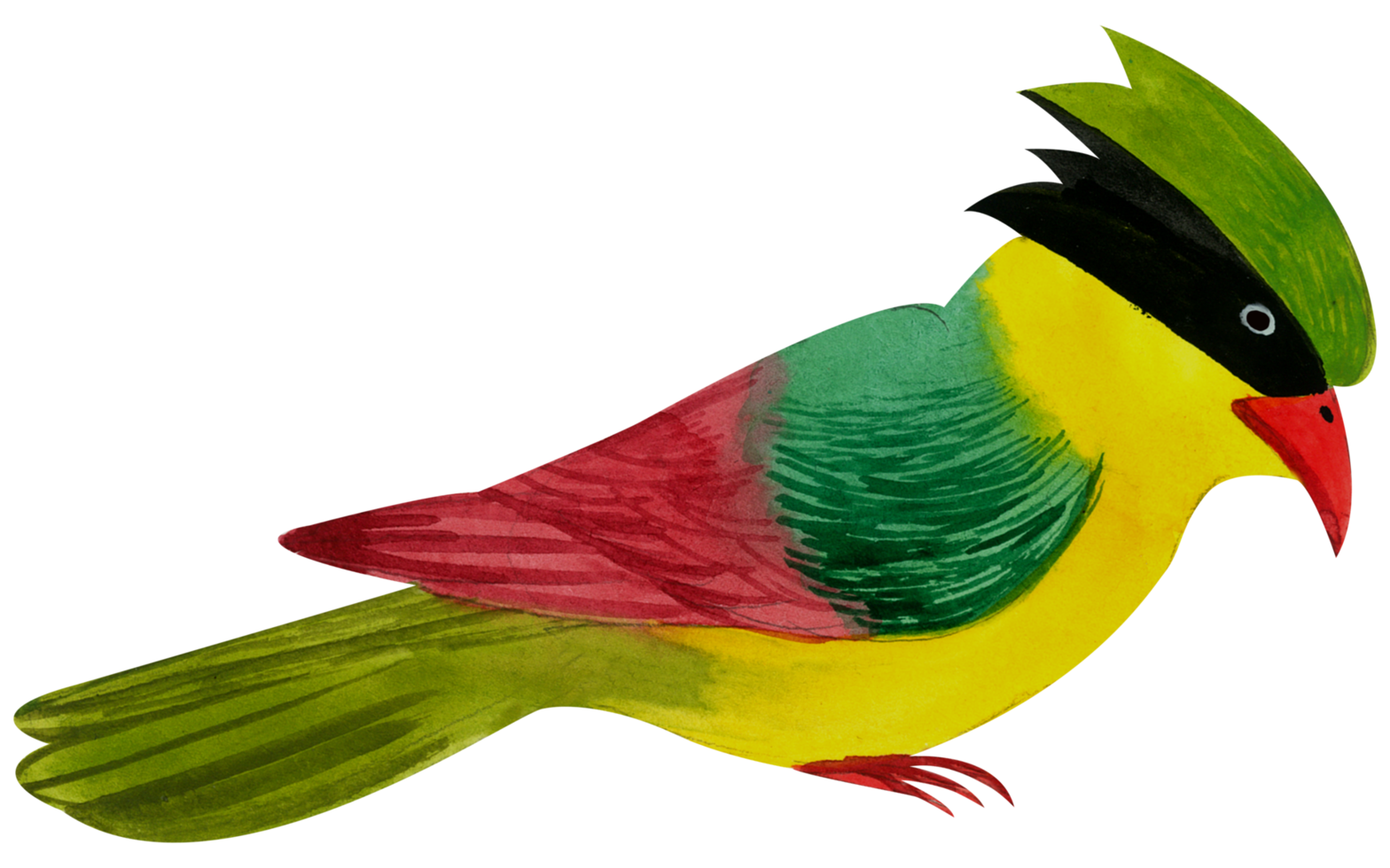 pintura de mano de acuarela de pajarito png