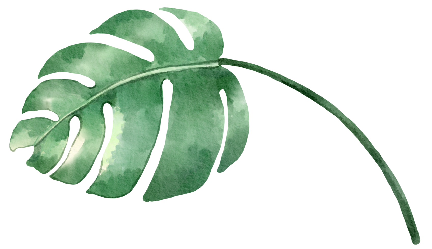 follaje acuarela hoja pintada a mano png