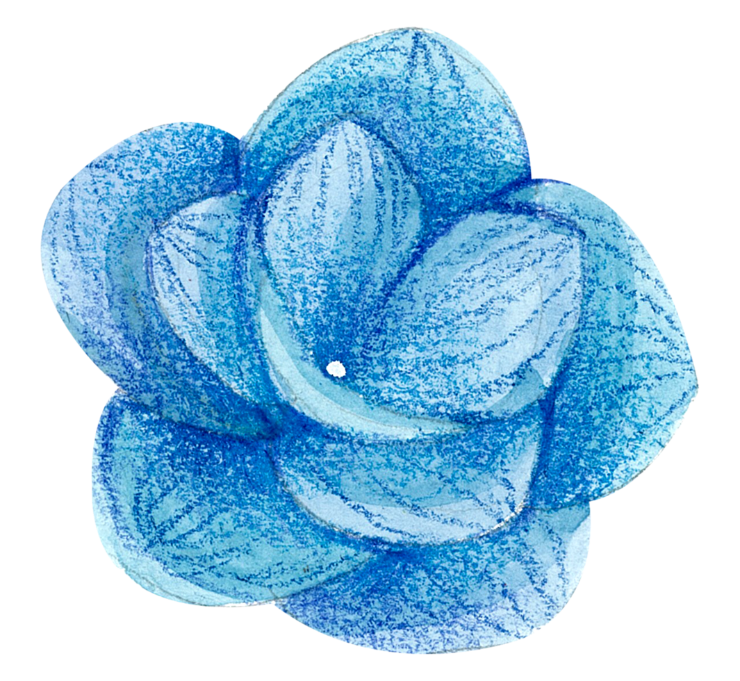 Watercolor Floral Botanical hand paint png
