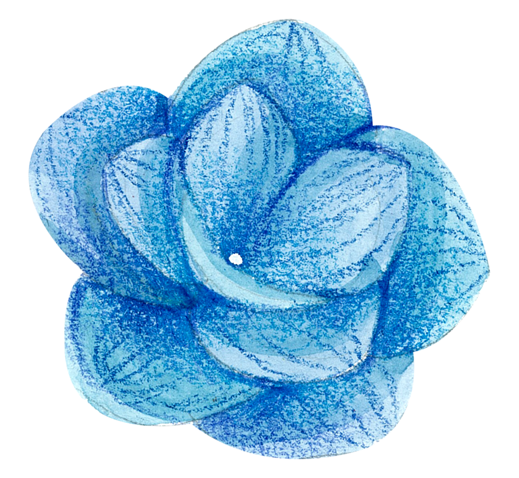 waterverf bloemen botanisch hand- verf png