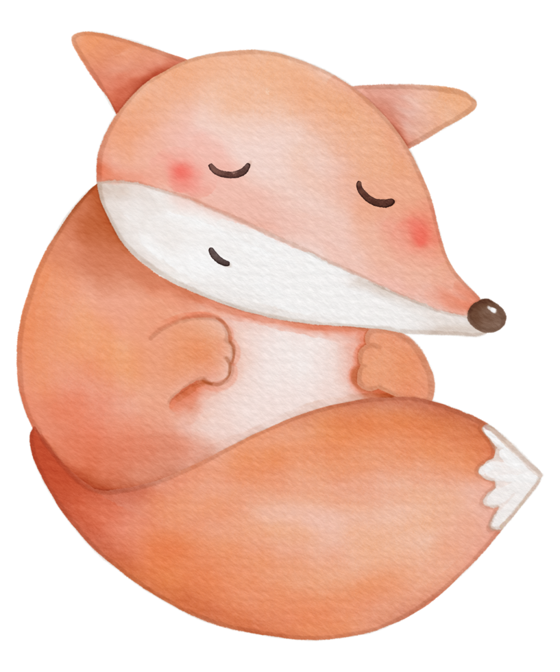 Cute fox animal character watercolor png