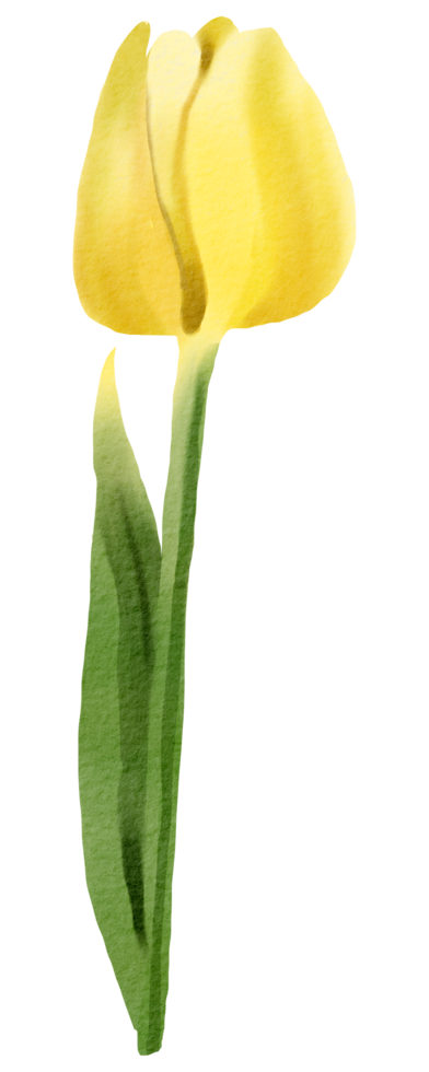 vattenfärg blommig botanisk hand måla png