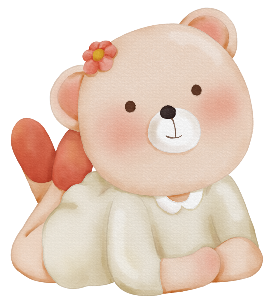 Cute bear animal character watercolor png