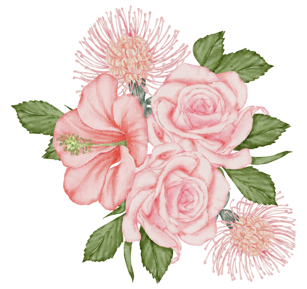 acuarela rosa floral botánico png