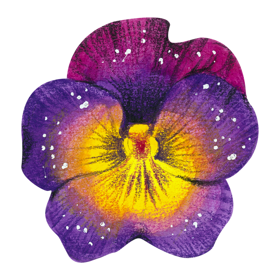 vattenfärg blommig botanisk hand måla png