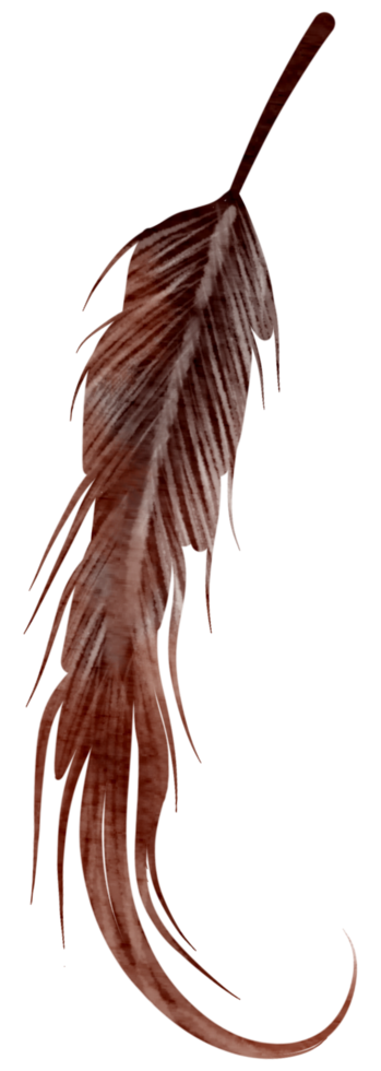 Feather watercolor hand paint png