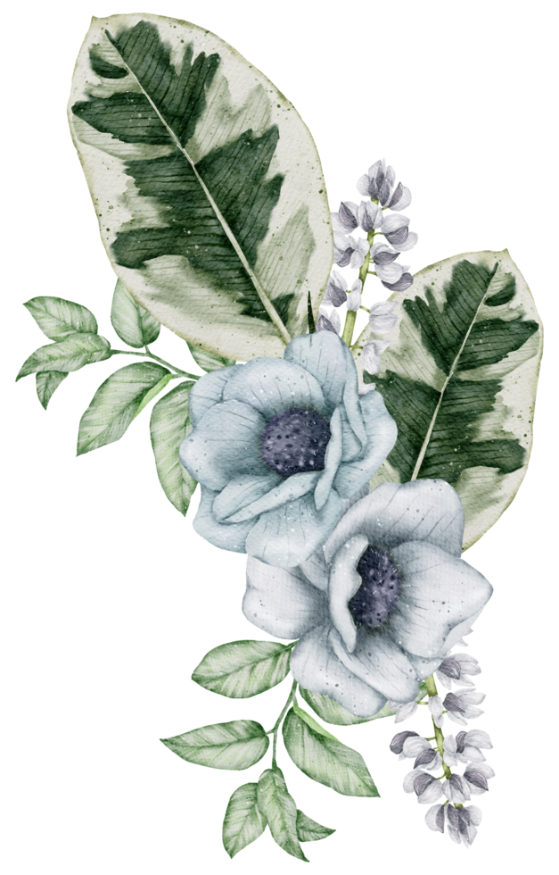 aquarela floral botânico png